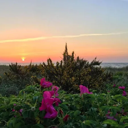 Am Weststrand * Kuehlungsborn